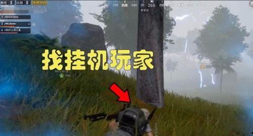 吃鸡最牛战神爆料视频,吃鸡界最牛战神独家爆料视频深度解析  第2张