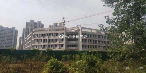 新河中学爆料新闻最新,揭秘校园背后的秘密